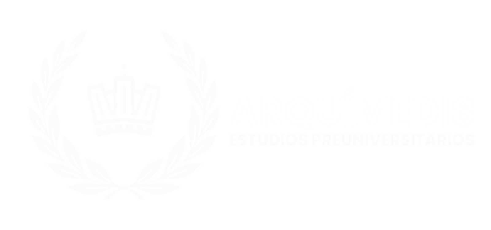 diseÑo y linea (11)